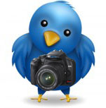 Photography on Twitter by Marc Benton via Flickr CC-By-NC-SA